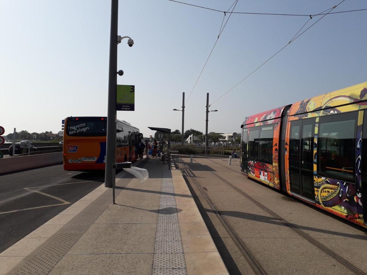 Le Soleil * Montpellier