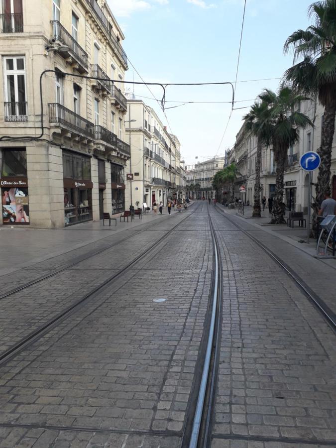 Le Soleil * Montpellier